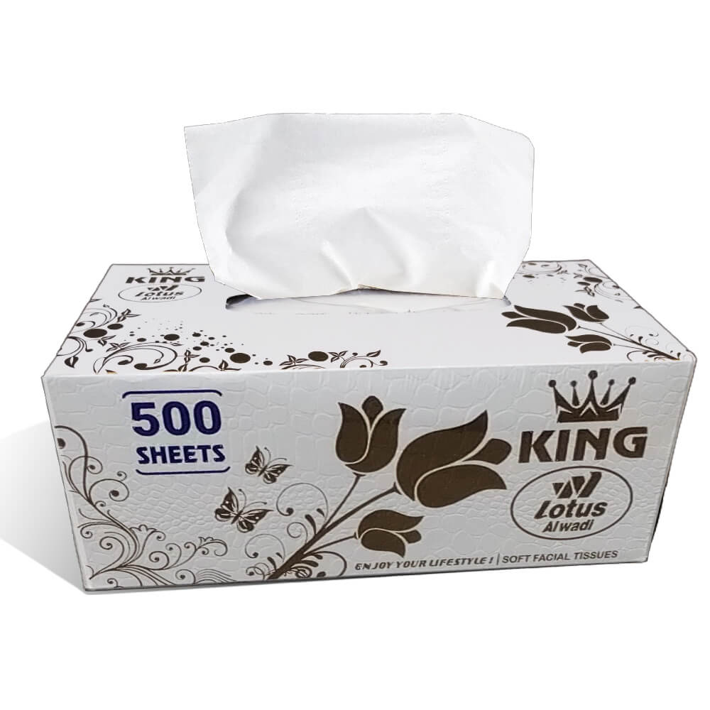 Large box 2024 of tissues