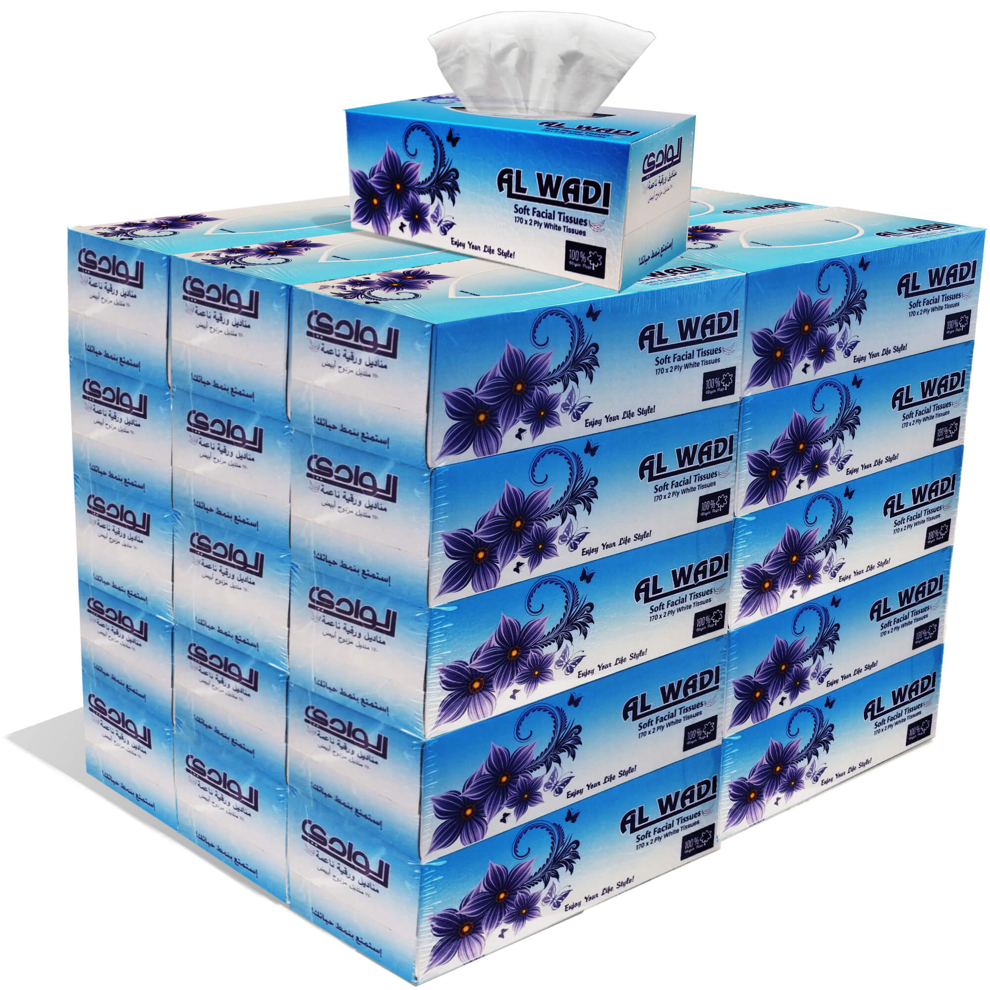 170 Sheets Soft Facial Tissue 30 Boxes/Packs, 2 Ply, 5100